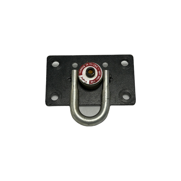 HOIST RING